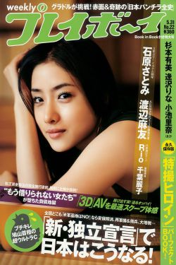 33日索情