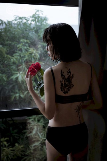 sunflower动漫免费看